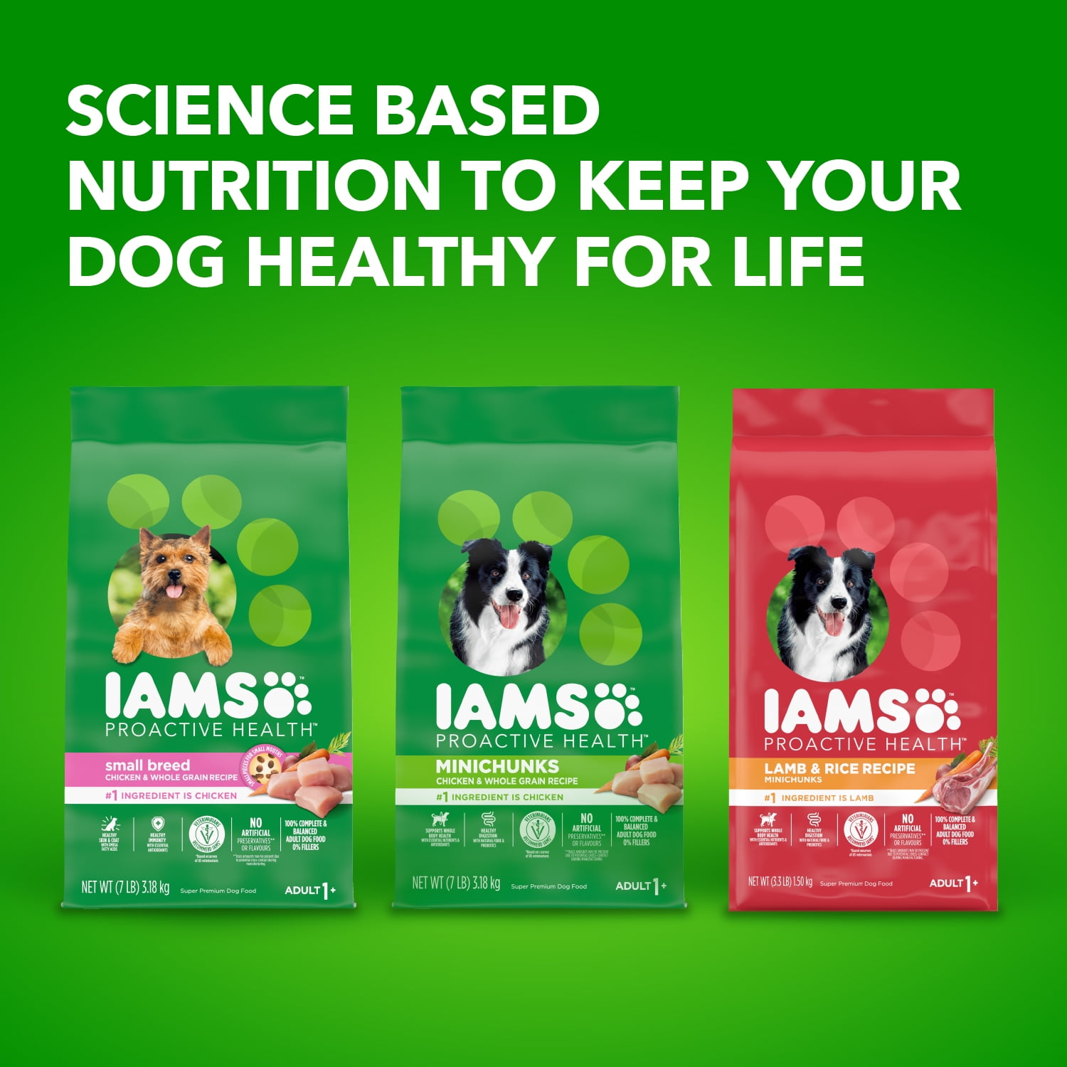 Iams Petites Races Recette au Poulet et Grains Entiers Nourriture Sèche pour Chien Adulte 4.99kg