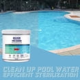 thumbnail image 4 of Clean Tablet Cleaning Tool Stain Remover Simple Operation Water Operation Fine Workmanship Long-lasting Pool Accessories Highly Effective Type 4, 4 of 5