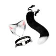 thumbnail image 1 of Faux Fur Cat Ears and Kits Carnival Plush Tail Set Costume Fancy Dress Gift for Stage Shows Black White, 1 of 9