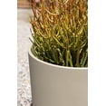 thumbnail image 4 of Mason Series 10'' Kona Round Planter Sand, 4 of 12
