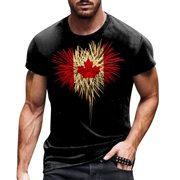 Ketyyh-chn99 Shirts for Men Solid Color Short Sleeve Tee Short Sleeve Tshirts Mens Classic Outwear Men's Shirt Tee Shirts Black,M
