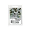 thumbnail image 1 of MAINSTAYS EUCALUPTUS MINT SCENTED WAX MELTS, 1 of 1