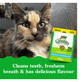 thumbnail image 4 of Feline Greenies Catnip Natural Dental Cat Treats, 4 of 13