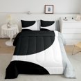 thumbnail image 1 of Erosebridal Contemporary Abstract Bedding Twin Comforter Set, Black White Gray Down Comforter Microfiber 2-Piece, 1 of 8