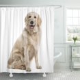thumbnail image 1 of SUTTOM Rideau de Douche Caméra Assise pour Chien Blanc Golden Retriever 66x72 Pouces, 1 of 1