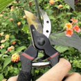 thumbnail image 4 of Sécateurs Professionnels Premium en Titane de 8 Pouces, Sécateurs à Main, Sécateurs de Jardin, 4 of 5