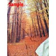thumbnail image 4 of YUSDECOR 7x5ft Natural Scenery Background Winter Backdrops Snow Backdrops Photo Studio, 4 of 4