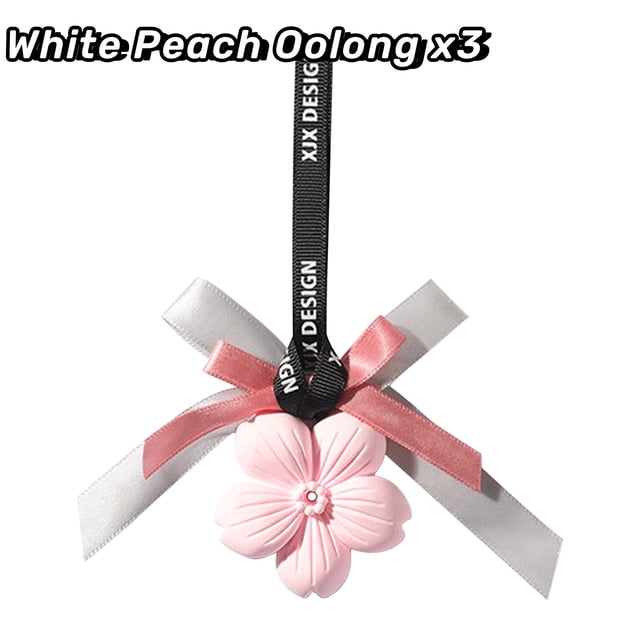 Gypsum Tablets White Stone Hanging Wardrobe Aromatherapy Wax Tablets Car Mounted Aromatherapy Hanging Accessories