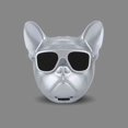 thumbnail image 3 of Haut-parleur pour Chien Portable Stéréo True Wireless Bluetooth Rechargeable : Argent, 3 of 8