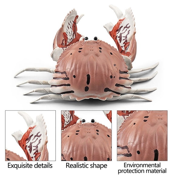 EGNMCR Ensemble Coloré de Simulation de Crabes, Animaux Marins et Petits Animaux, Ornements de Modèle, Figurine d'Animal, Cadeaux d'Anniversaire pour Enfants