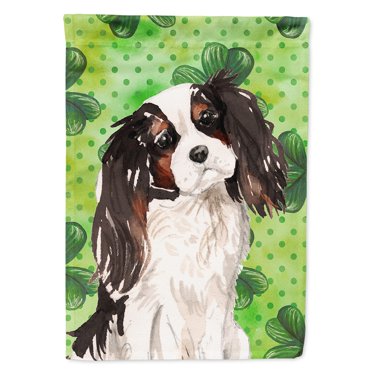 Carolines Treasures BB9542CHF Tricolor Cavalier Spaniel St. Patricks Canvas House Flag