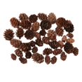 thumbnail image 2 of veasfak 50 Pieces Assorted Size Mini Decorative cone Cones for Vase Bowl Filler, 2 of 9
