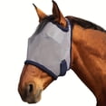 thumbnail image 3 of Horse Fly Protective Face with Fine Mesh Coverage for Enhanced Airflow and Comfort, 3 of 3