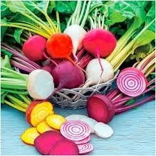 HJADGG 200+ Heirloom Blend Mixed Radish Seeds All Heirloom Seeds -This Assortment Combines a Variety of Heirloom Radish cultivars, Each with its own Distinctive Colour, Shape, and Tastes.