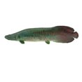 thumbnail image 1 of Realistic Static Ocean Animal Model Toy Animal Toys for Kids Gift Pirarucu, 1 of 9