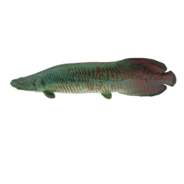 Realistic Static Ocean Animal Model Toy Animal Toys for Kids Gift Pirarucu