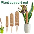 thumbnail image 1 of Vaidha Plant Support Moss Pole Pole Moss Stick for Climbing Plants Support Extension, 1 of 3