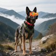 thumbnail image 5 of Cat Sunglasses Goggles With Adjustable Head Strap For Safe Outdoor Adventures And Driving Trips, 5 of 5