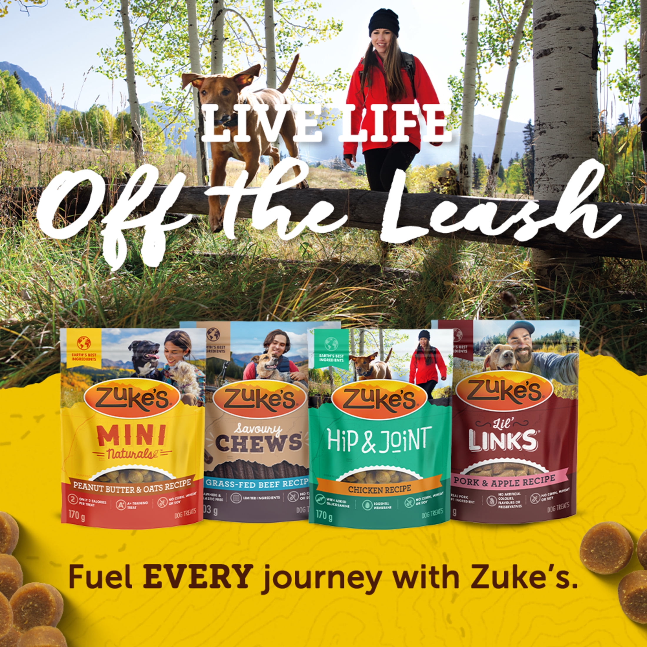 Zuke’s Mini Naturals Recette au Poulet, Gâteries pour Chiens