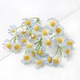 thumbnail image 1 of LSLJS 10 Mini Artificial Daisies Small Marguerite Flowers Fake Spring Flowers Decorative Imitation Flowers with Stems Home Decoration Variety, Plastic Simulated Daisy, 1 of 6