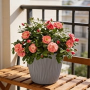 Plastic Plant Pots Gray Plastic Flower Pot Ripples Planter for Succulents Plants Indoor Outdoor Balcony Gardening(1-Piece) Rkxzt