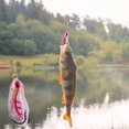 thumbnail image 4 of Birdeem Improved Bait 13G 6.0Cm Black Fish Bait Lifting Hook, 4 of 12