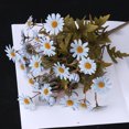 thumbnail image 3 of Windproof Mums for Outdoor Fall Realistic Sunset Garden Flowers, 3 of 3