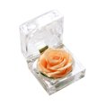 thumbnail image 1 of Amdohai Preserved Real Rose Flower in Clear Box Eternal Rose Scented, 1 of 7