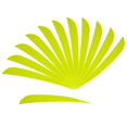 thumbnail image 1 of 12Pcs 5 Inch Feather Turkey Feathers Fletching Fletches, Lightweight And High Durability Fluorescent yellow, 1 of 8