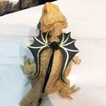 thumbnail image 4 of TIMIFIS Dog Leash 4Pcs Reptile Lizard Bearded Dragon And Leash Adjustable Strap Reflective Dog Leash - Fall, 4 of 7