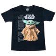 thumbnail image 1 of Star Wars The Mandalorian The Child Character Kids T-Shirt-XSmall (4-5), 1 of 1