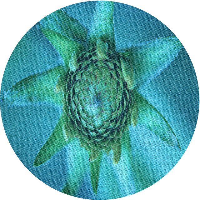 Ahgly Company Machine Washable Indoor Round Transitional Dark Cyan Green Area Rugs, 8' Round