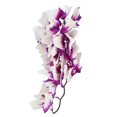 thumbnail image 2 of Senjay Artificial Reptile Plant, Lifelike Plastic Plant Soft For Fish Tank For Reptiles Terrarium, 2 of 8