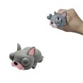 thumbnail image 2 of Agiferg Mini DinosaurToys Stress Relief Set Pressing Voice Fidget Toys For Kids Adults, 2 of 3