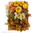 thumbnail image 1 of Natural Real Dried Flowers Kit for Art Craft DIY Soap Candle Scrapbooking DIY Resin Jewelry Making, Bookmark Making Mixed Multiple Colorful Dried Pressed Flowers for Home Decoration, 1 of 8