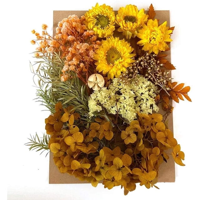 Natural Real Dried Flowers Kit for Art Craft DIY Soap Candle Scrapbooking DIY Resin Jewelry Making, Bookmark Making Mixed Multiple Colorful Dried Pressed Flowers for Home Decoration