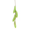 thumbnail image 1 of MesaSe Artificial Fruit Foam Vegetable Corn Pepper Garlic Hanging Photo Prop Home Decor, 1 of 8