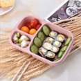thumbnail image 1 of Daisyyozoid Wholesale Microwave Bento Lunch Box Picnic Food Fruit Container Storage Box For Kids Adult, 1 of 1