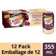 thumbnail image 1 of Canada Dry® Pomegranate Ginger Ale 355 mL Cans, 12 Pack, 1 of 8