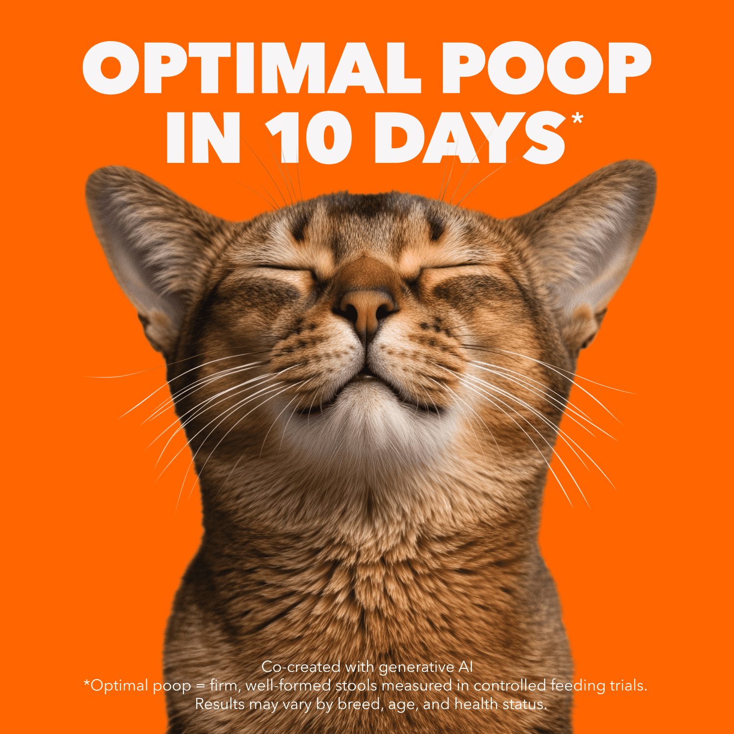 Iams Proactive Health Nourriture Sèche pour Chats Adultes Soins des Voies Urinaires au Poulet 1.6kg