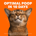 thumbnail image 3 of Iams Proactive Health Intérieur Gestion du Poids & Boules de Poils au Poulet & à la Dinde Nourriture Sèche pour Chats Adultes 1.6kg, 3 of 15