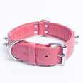 thumbnail image 2 of Collier pour Chien en Cuir à Pointes AMSTERDAM à Multiples Rangées de Pointes, 2 of 4