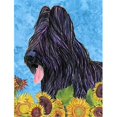 thumbnail image 1 of Carolines Treasures SS4123CHF 28 x 40 In. Briard Flag Canvas- House Size, 1 of 4