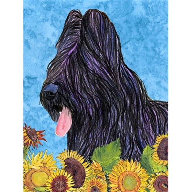 Carolines Treasures SS4123CHF 28 x 40 In. Briard Flag Canvas- House Size