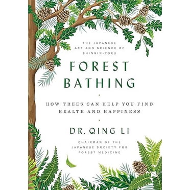 Bains de Forêt: Comment les Arbres Peuvent Vous Aider à Trouver la Santé et le Bonheur