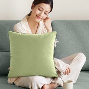 TIMIFIS Square Frosted Velvet Sofa Pillows Frosted Velvet Sofa Pillow Set Living Room Cushion Solid Color Jacquards Thickening Waist Cushion Bed Velvet Headrest New Home Essentials