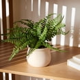 thumbnail image 2 of Fougère artificielle Anko en pot, 2 of 6