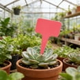 thumbnail image 2 of Todaioua Plant Labels, 100pcs T Type Plant Markers, Plastic Garden Labels, Waterproof Plant Tags, Herb Garden Markers, Outdoor Plant Labels, Seedling Identification Tags, Durable Garden Markers, 2 of 8