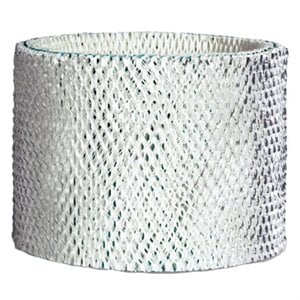 Holmes Filtre à Mèche/air, Lot de 2 - H62-2PK-PDQ-2