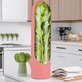 thumbnail image 1 of Refrigerator Fresh Pod Containers Set for Veggie Storage Keep Cilantro Parsley and Asparagus Crisp and Flavorful in Fridge, 1 of 3